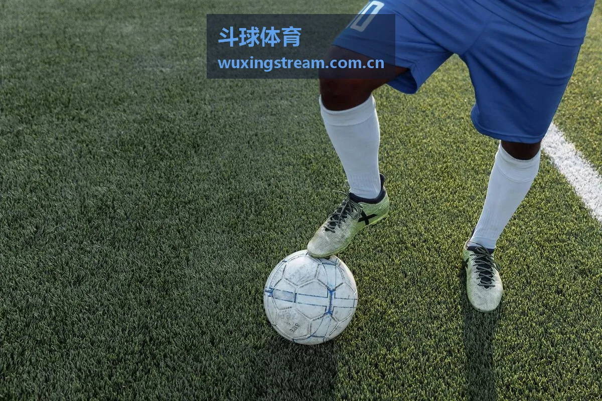 斗球体育球迷社区数据研究专区